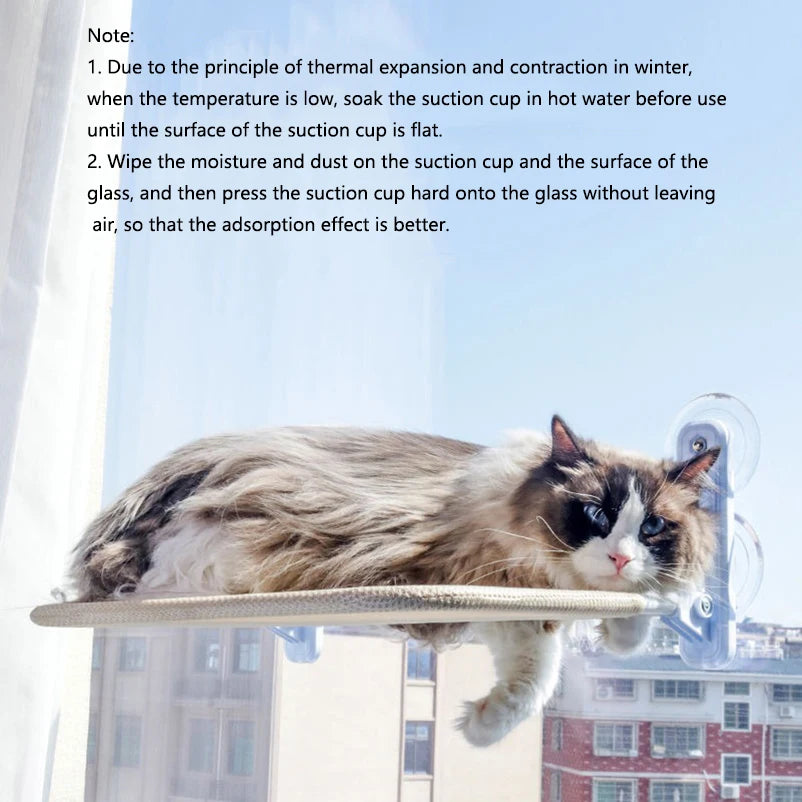 Cat hanging bed super suction cup swing sun can be removed and washed mattress windowsill glass hanging bed pet supplies